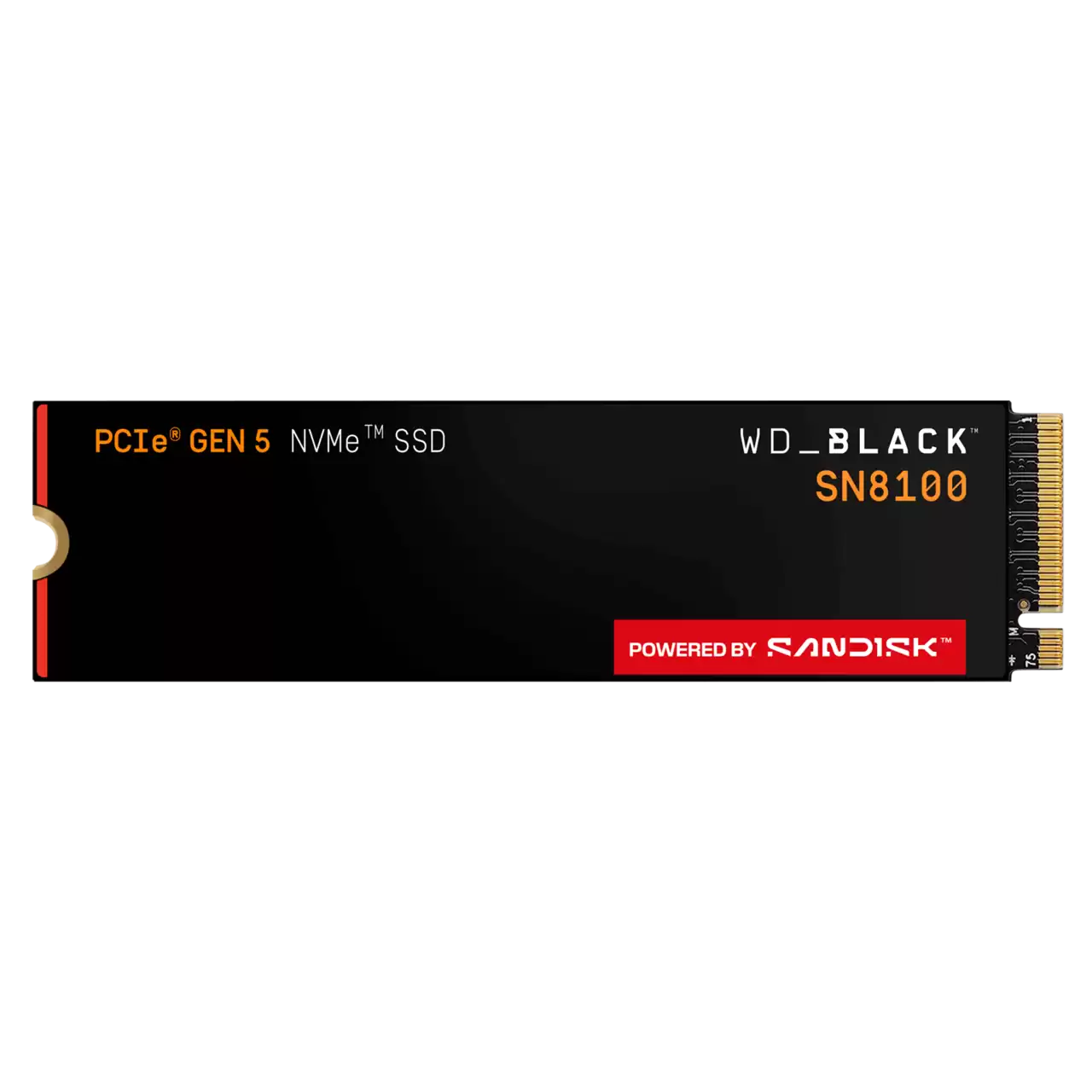 DISCO SSD M.2 WESTER DIGITAL SN8100 1TB BLACK G5